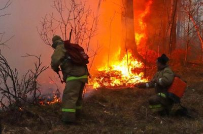 Сотрудники МЧС тушат лесной пожар в Курганской области. Фото: РИА Новости.