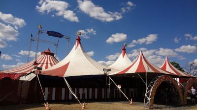 Положения предусматривают регулирование правил дрессировки цирковых животных.