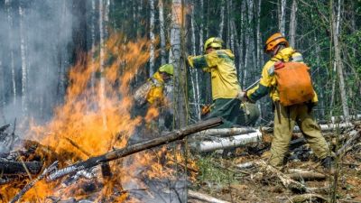Площадь лесных пожаров меньше в 2,4 раза по сравнению с прошлым годом.