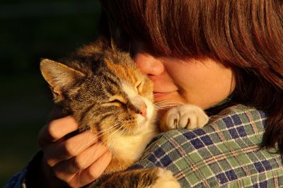 Люди с опытом общения с кошками часто ведут себя с ними не очень правильно.