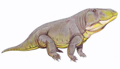Реконструкция внешнего вида Erythrosuchus africanus – одного из пресмыкающихся триасового периода. Иллюстрация: Dmitry Bogdanov / Wikipedia.