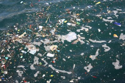 Каждый год в сточные воды и на свалки попадает примерно 300 млн тонн пластикового мусора.