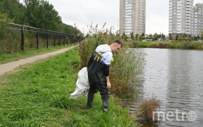 Экоблогер убрал мусор у озера. Фото Игорь Акимов / «Metro».