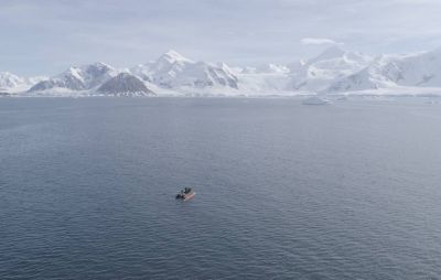 Они могут ускорить таяние южных полярных ледников. Фото: Alexandra Mazur/University of Gothenburg.