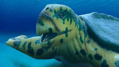 Визуальная реконструкция ископаемой черепахи Архелон (Archelon ischyros). Иллюстрация: globallookpress.com / fotototo.