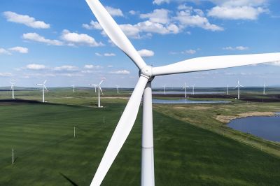 Преимущество ветропарков в том, что им не требуется топливо для производства электроэнергии. Фото: РИА Новости.