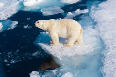 Резкое потепление объяснили землетрясениями. Фото: All Canada Photos / Alamy.