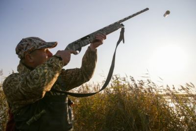 Авторы инициативы полагают, что штрафовать охотника-нарушителя на сумму менее двух тысяч рублей не имеет смысла. Фото: Кирилл Кухмарь / ТАСС.