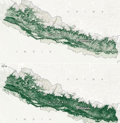 Показан лесной покров Непала в 1992 г. (вверху) и 2016 г. (внизу). За эти годы леса страны почти удвоились с 26 до 45 процентов. Иллюстрация: NASA.