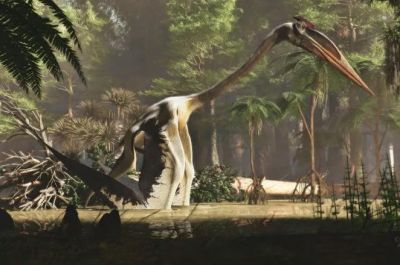 Этот гигантский птерозавр, живший 70 миллионов лет назад в меловом периоде, является самым большим летающим животным за всю историю планеты. Иллюстрация: Wikipedia.