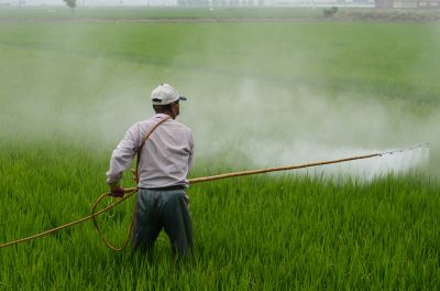 Пестициды в некотором роде необходимое зло.