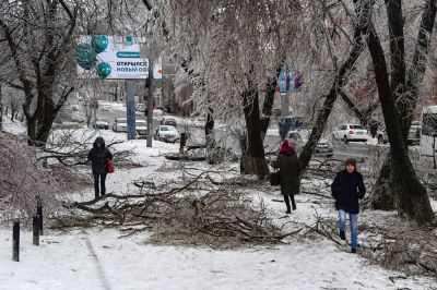 Одним из сильнейших проявлений природной аномалии стал ледяной дождь во Владивостоке в 2020 году. Фото: Юрий Смитюк/ТАСС.