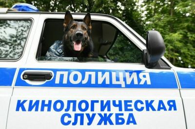 В МВД определили порядок передачи служебных животных новым владельцам. Фото: Игорь Иванко / АГН Москва.