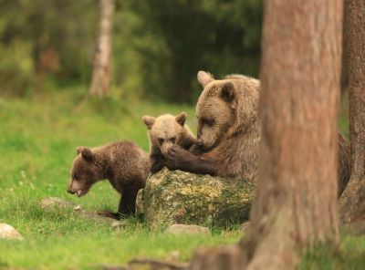 Фото: valtterimulkahainen / CATERS NEWS via Legion Media.