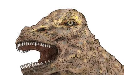 Иллюстрация: Australian Age of Dinosaurs Museum.