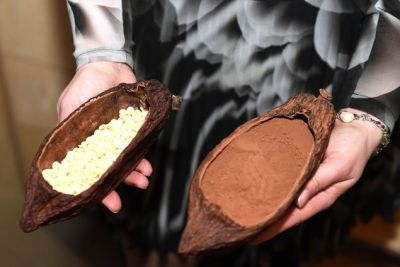 Инвестиции в производство шоколада зависят и от условий работы на плантациях какао-бобов. Фото: РИА Новости.