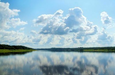 Проблема не только в постоянном повышении температуры воды из-за изменений климата, но и в загрязнении Волги биогенными веществами.