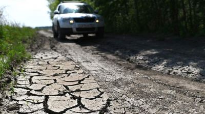 Фото: РИА Новости/Алексей Мальгавко