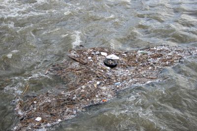 Пластик плавает на поверхности и на небольших глубинах не несколько лет, а несколько десятилетий.