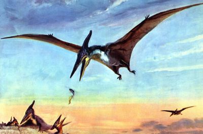 Возможно, гигантские виды птерозавров, такие как эти птеранодоны, проявляли некоторую заботу о потомстве, как это делают современные птицы. Рисунок Зденека Буриана из книги Йозефа Аугусты «Летающие ящеры и древние птицы».