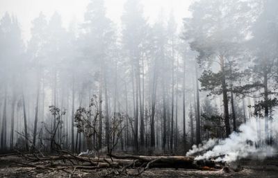 Биолог Гниненко заявил о кратном увеличении пожаров после открытия охотничьего сезона. Фото: Владимир Жабриков / URA.RU.