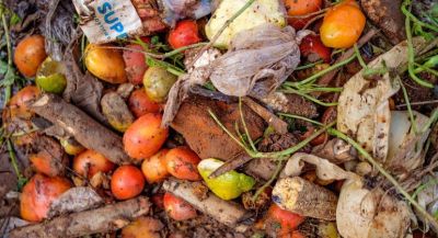 В ФАО призывают сократить количество пищевых отходов. Фото: ФАО/С.Садурни.