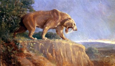 Смилодона обычно изображают грозным хищником, рычащим наподобие льва.