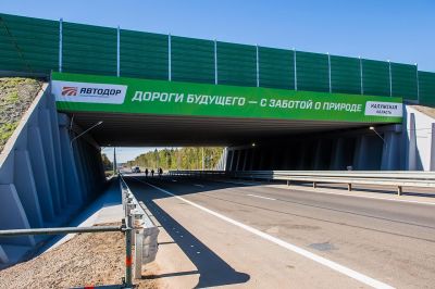 Первый экодук России появился в 2016 году на трассе М3 в Калужской области.