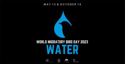 В 2023 году кампания Всемирного дня перелетных птиц посвящена теме воды и ее важности для перелетных птиц.