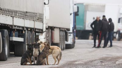 Фото: ТАСС/Гавриил Григоров