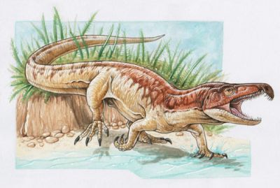 Реконструкция Samsarasuchus pamelae. Иллюстрация: Gabriel Lio.