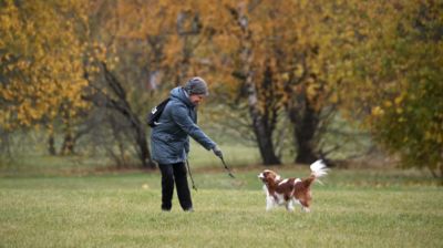 Женщина гуляет с собакой. Архивное фото РИА Новости / Кирилл Зыков.