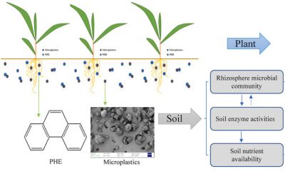 Иллюстрация: Xiancao Chen et al. / Chemosphere, 2023.