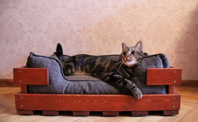 Лежанка для кошки своими руками: из ткани, старого свитера и подручных материалов
