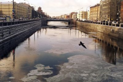 Редкое явление вызывает неоднозначную реакцию. Фото: Дмитрий Можаров/Vk.com.