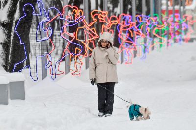 Фото: Михаил Воскресенский/РИА Новости.