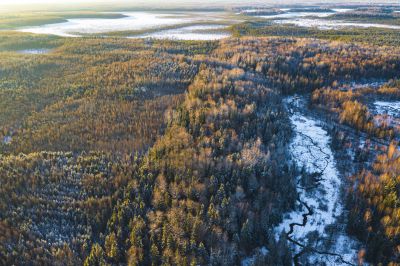 Фото: Пресс-служба Минприроды России.