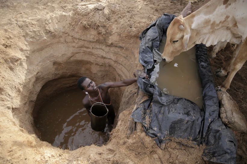 Мужчина дает коровам воду в деревне в Кении. Грунтовые воды, которые снабжают фермы, дома, предприятия и города, истощаются по всему миру. Фото: AP Photo/Brian Inganga, File.