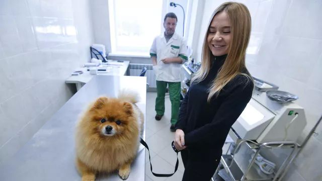 Девушка с собакой в ветеринарной клинике. Архивное фото РИА Новости / Александр Кондратюк.