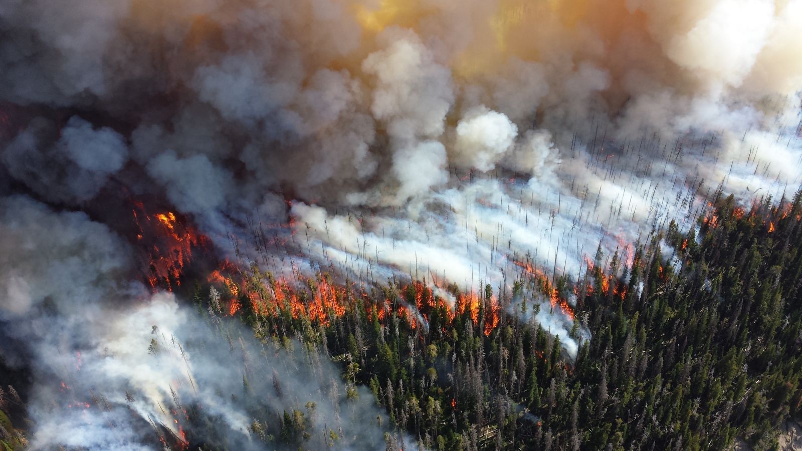 Каждый природный пожар моментально может перерасти в мощное стихийное бедствие