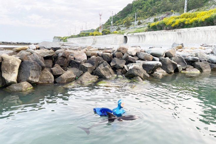 Фото: Научно-экологический Центр спасения дельфинов.