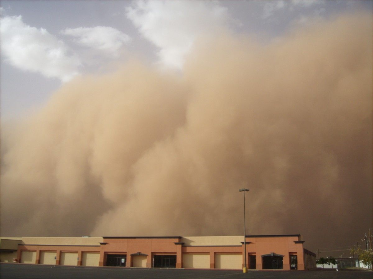 Пыльная буря возникает, когда сильные ветры проносятся над засушливыми районами, поднимая частицы пыли с земли иногда на высоту до 1500 м.