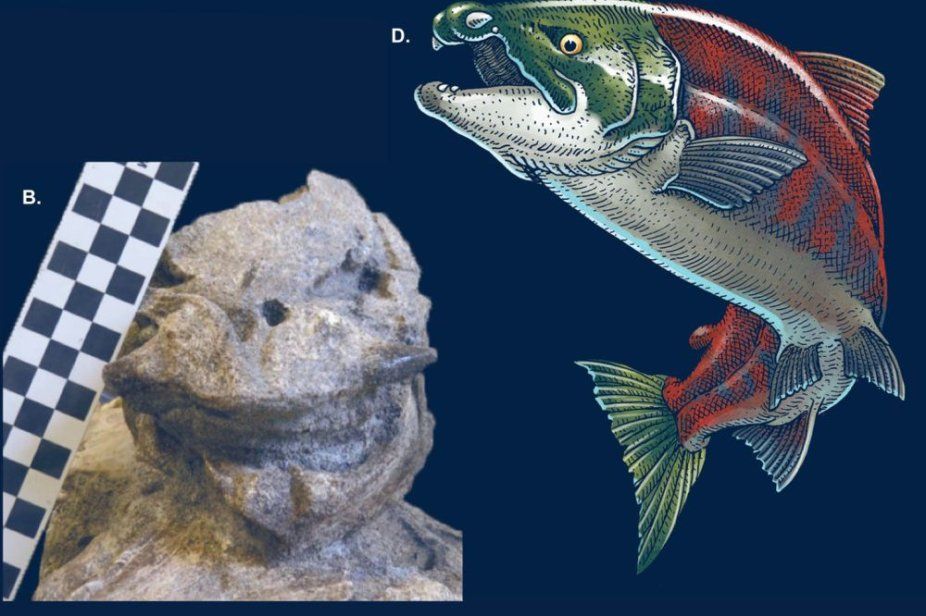 Иллюстрация: Claeson et al., doi: 10.1371/journal.pone.0300252.