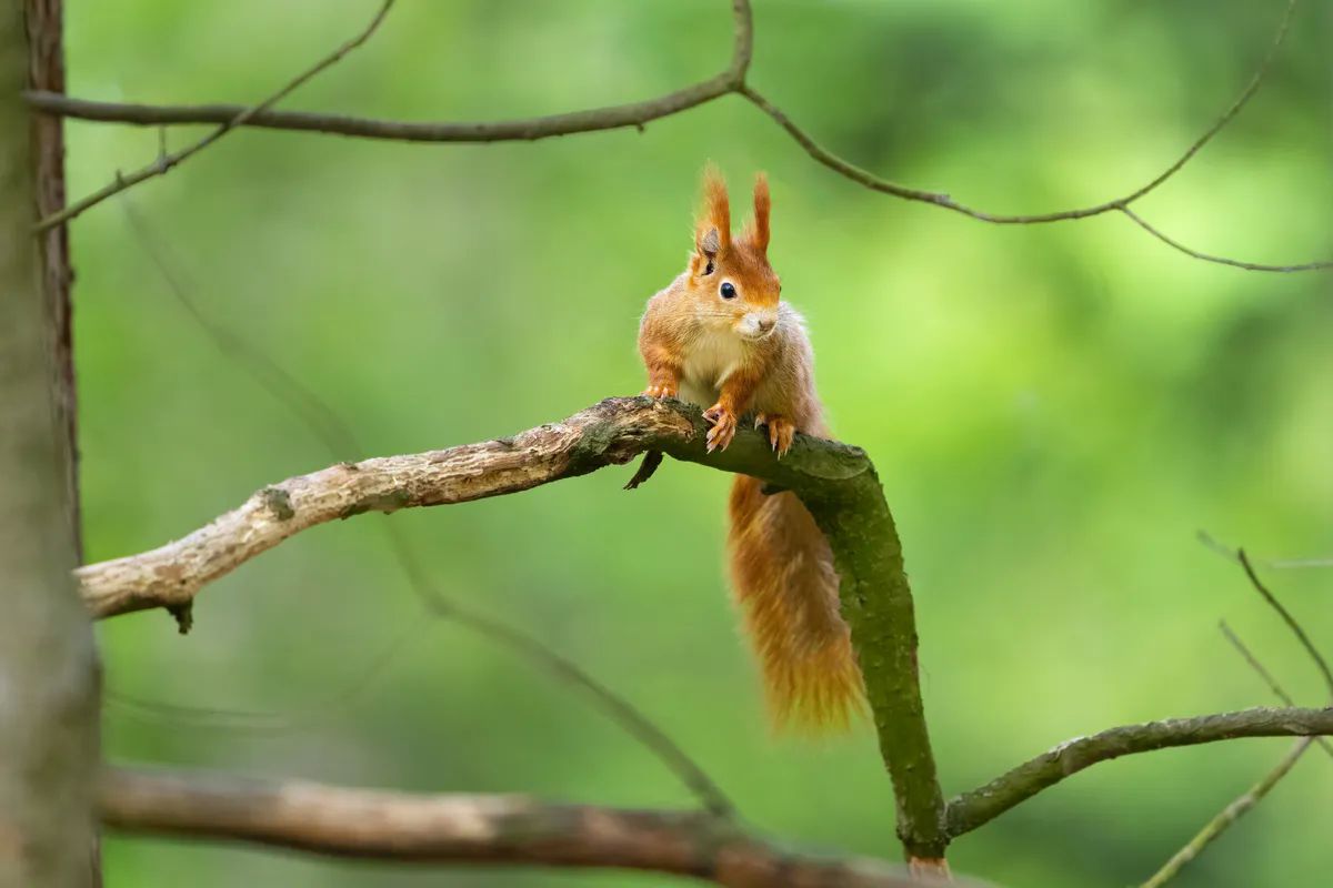 Фото: Jiri Vlach/Shutterstock.com.