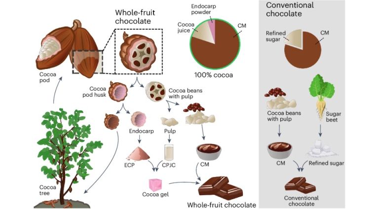 Вместо сахара в нем используют желе из сока и кожуры плода. Иллюстрация: Kim Mishra et al. / Nature Food, 2024.
