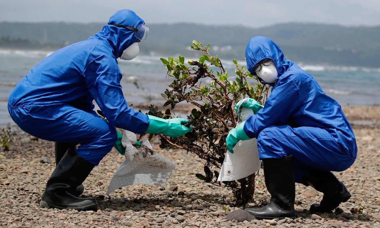 Филиппинцы очищают мангровые заросли Миндоро после разлива нефти. Фото: FR Malasig/EPA.
