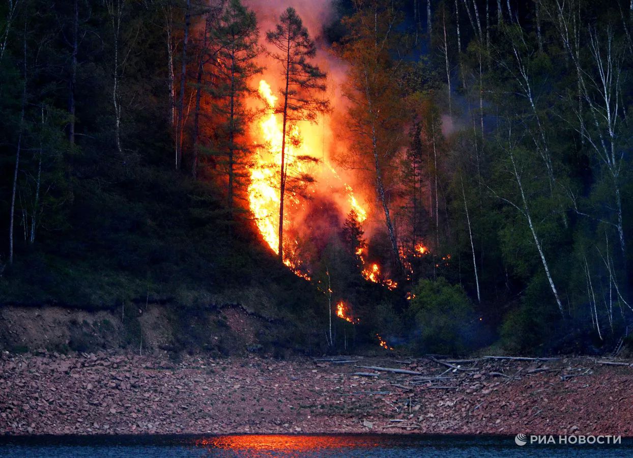 Лесной пожар в Красноярском крае. Фото: РИА Новости / Илья Наймушин.