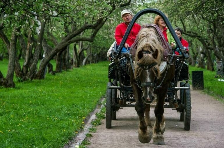 Фото: Владимир Сергеев / РИА Новости.