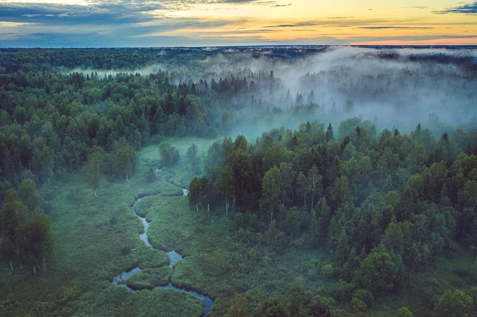 Фото: Пресс-служба Минприроды России.