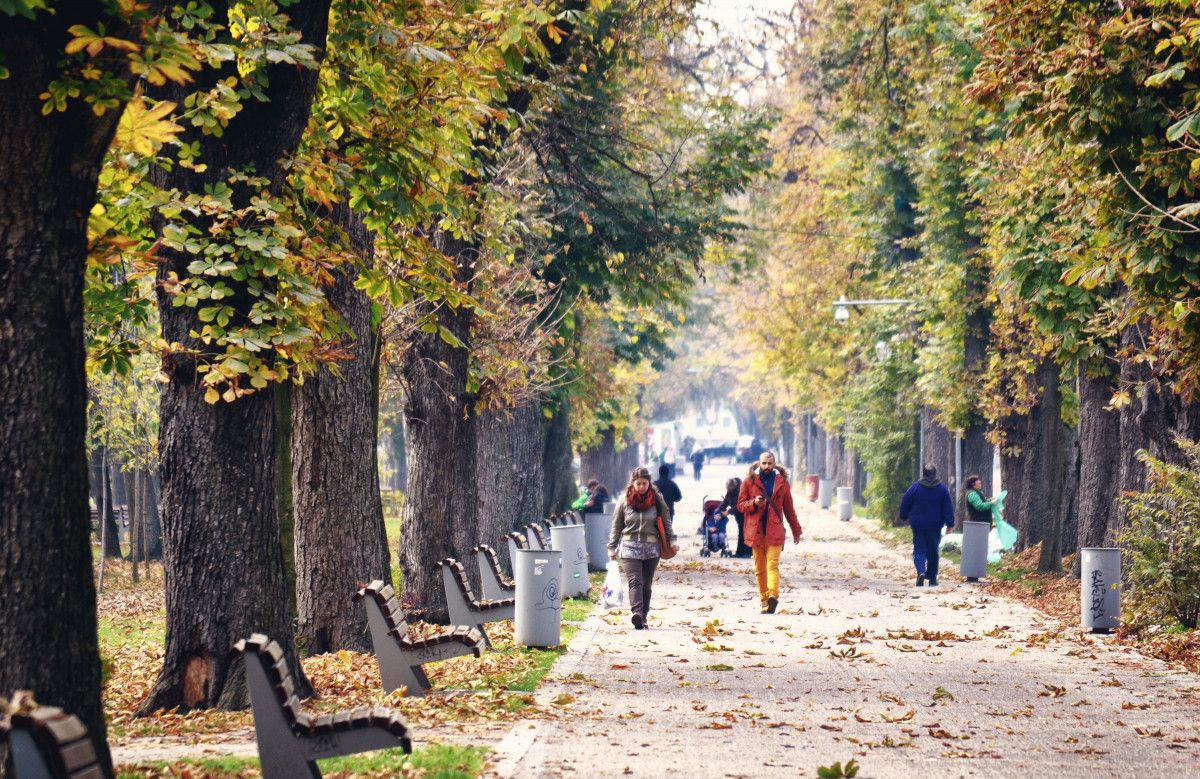 Прогулки на природе — один из эффективных способов поддержания здоровья